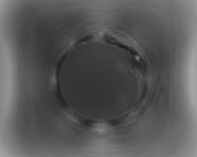 X0000116010516200911251123