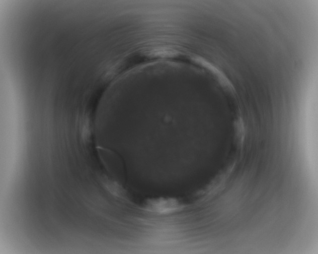 X0000116010517200911251123