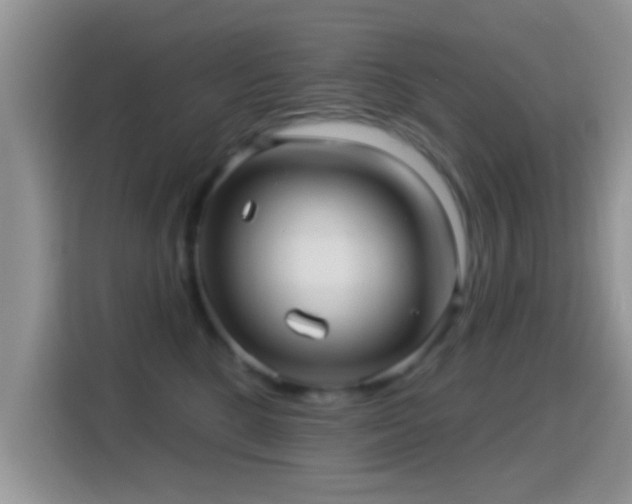X0000116010520200911251123