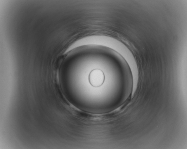 X0000116010521200911251123