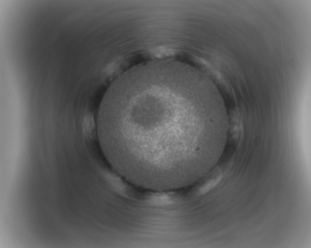 X0000116010523200911251123