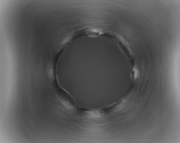 X0000116010524200911251123