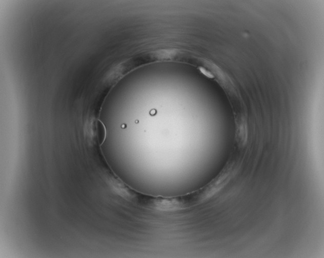 X0000116010525200911251123