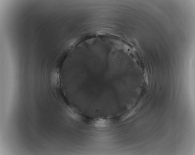 X0000116010527200911251123