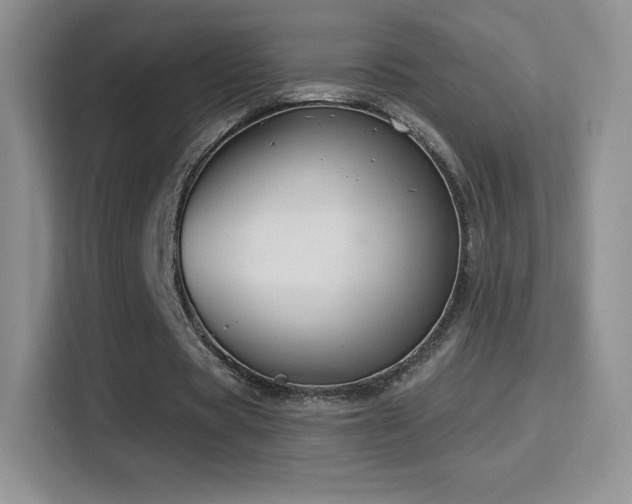 X0000116010529200911251122