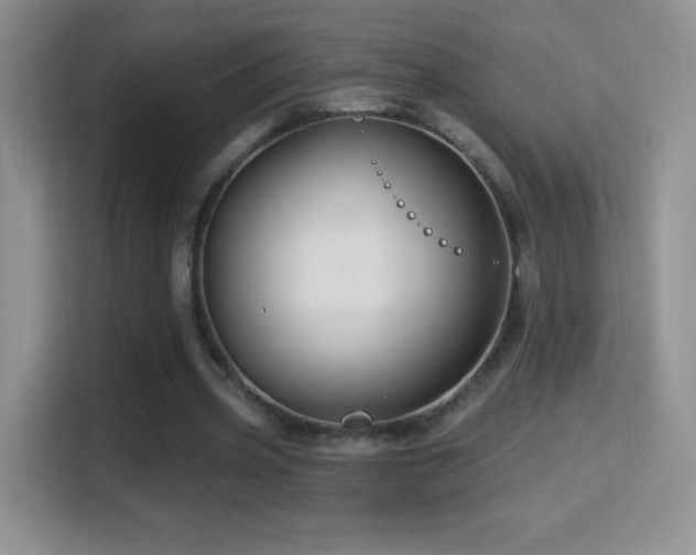 X0000116010533200911251122