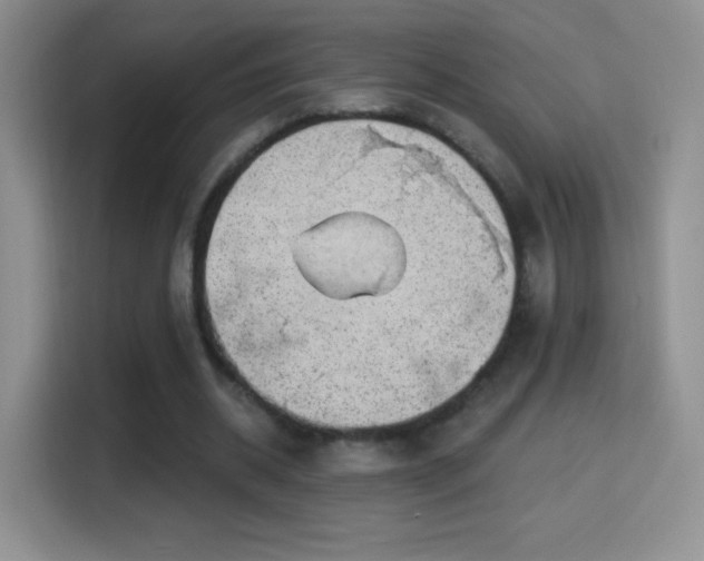 X0000116010534200911251122