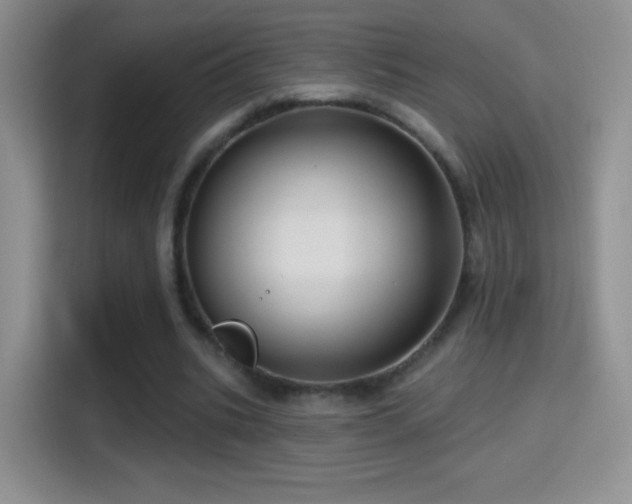 X0000116010535200911251122
