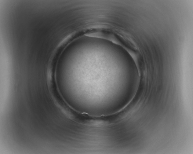 X0000116010539200911251122