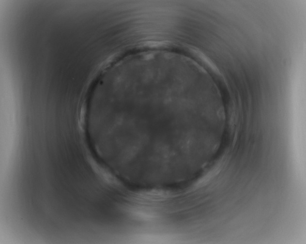 X0000116010542200911251122