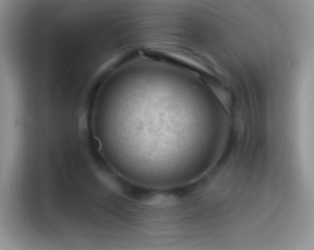 X0000116010543200911251122