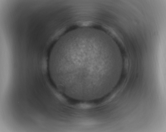 X0000116010545200911251122