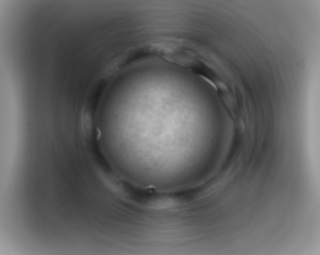 X0000116010551200911251123