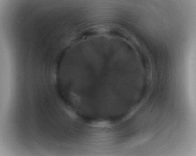 X0000116010553200911251123