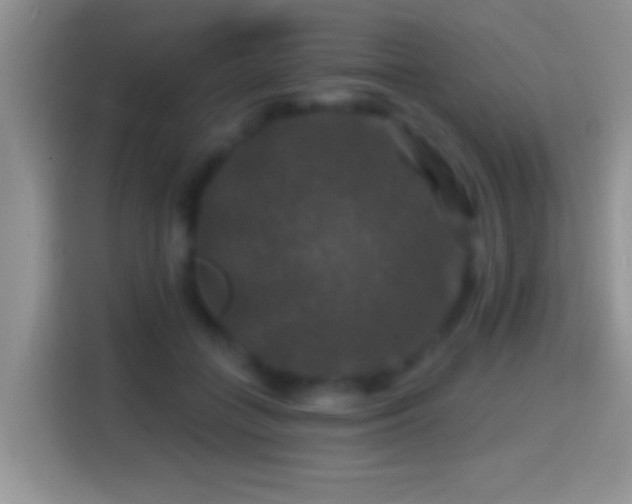 X0000116010555200911251123