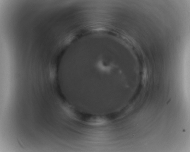 X0000116010559200911251123