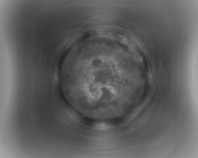 X0000116010561200911251123
