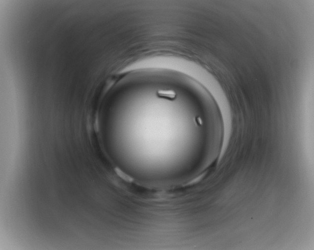 X0000116010562200911251123