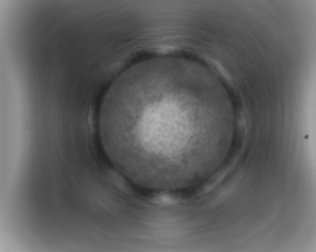X0000116010565200911251123