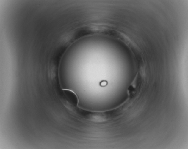 X0000116010567200911251123