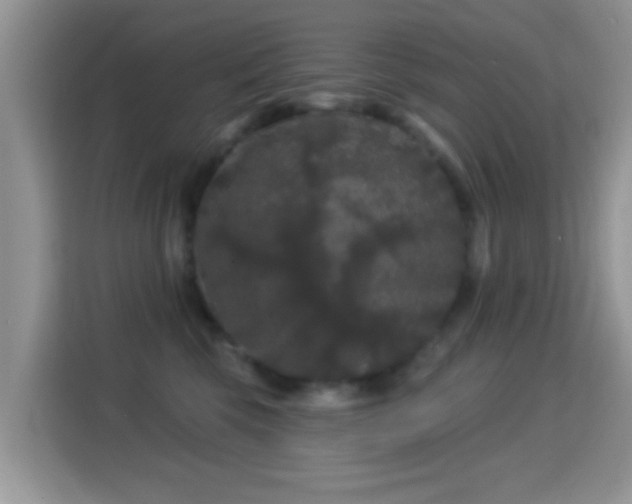 X0000116010569200911251123