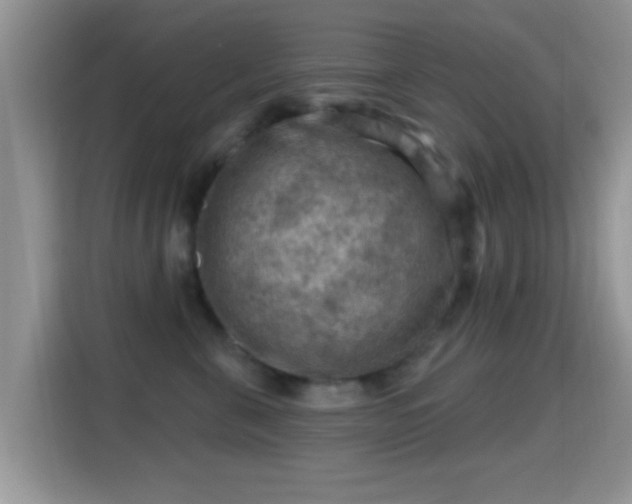 X0000116010571200911251123