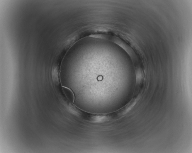 X0000116010575200911251123