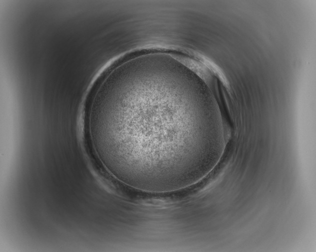 X0000116010580200911251122