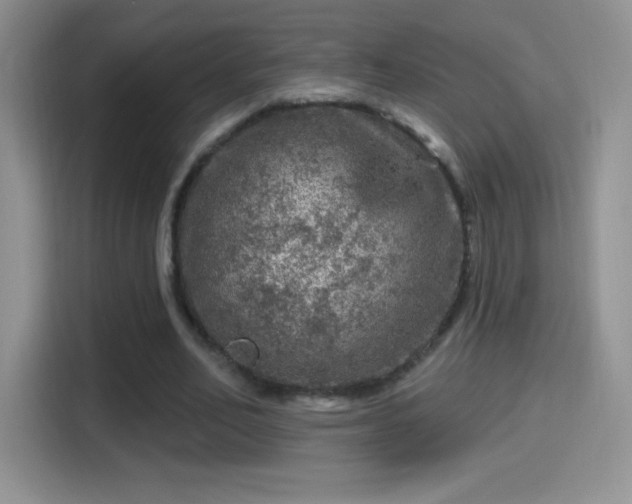 X0000116010582200911251122