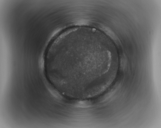X0000116010584200911251122