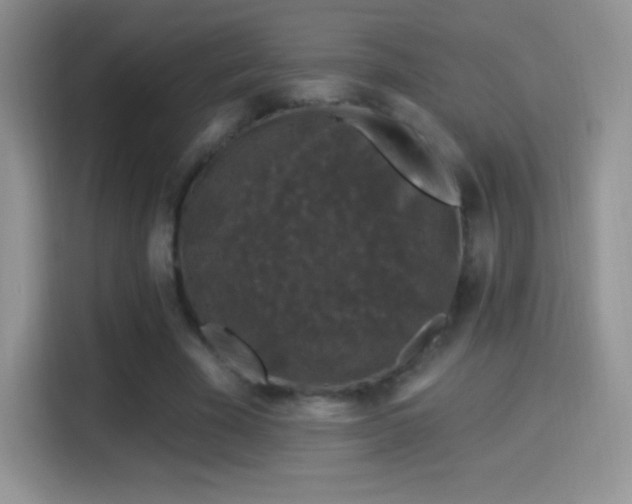 X0000116010585200911251122