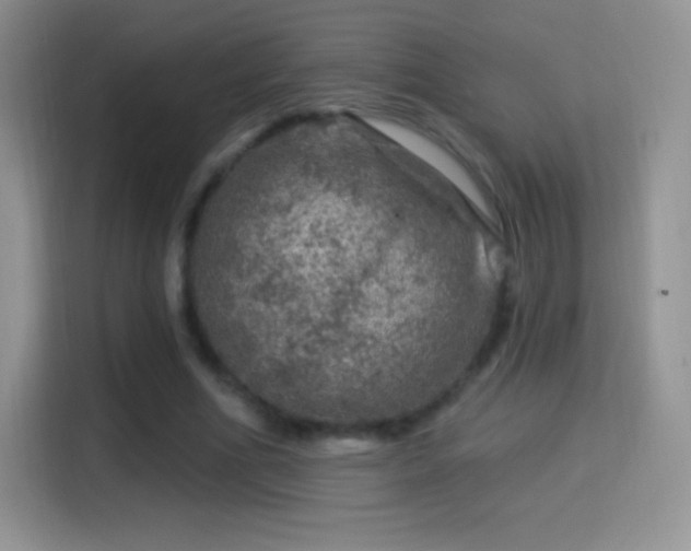 X0000116010586200911251122