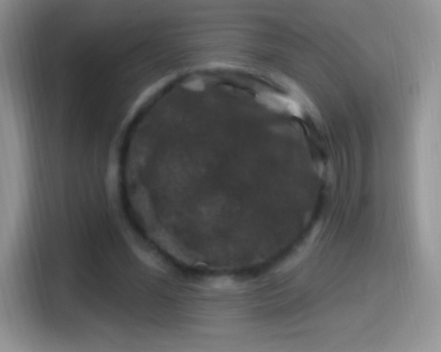 X0000116010588200911251122
