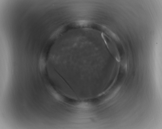 X0000116010593200911251122