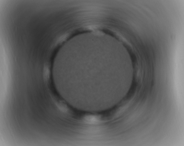 X0000116010595200911251122