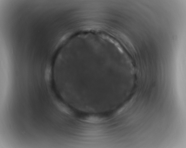 X0000116010596200911251122