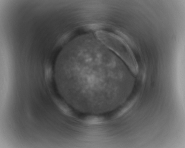 X0000116010597200911251122