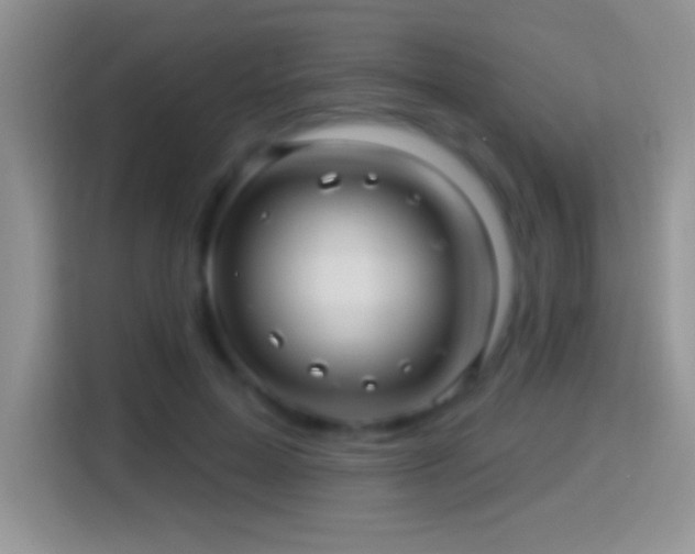 X0000116010599200911251122