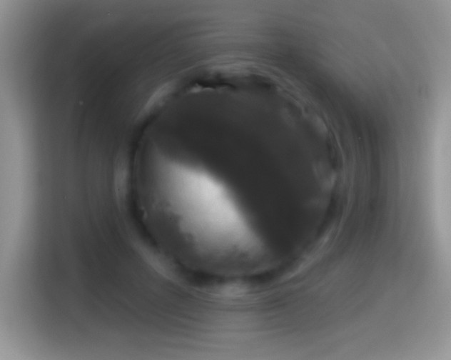 X0000116010600200911251122