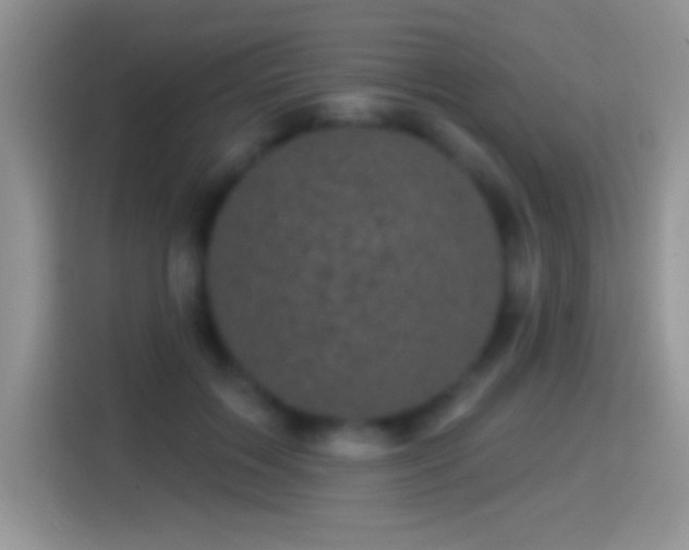 X0000116010603200911251122