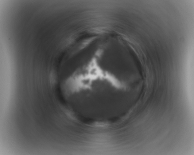 X0000116010606200911251122