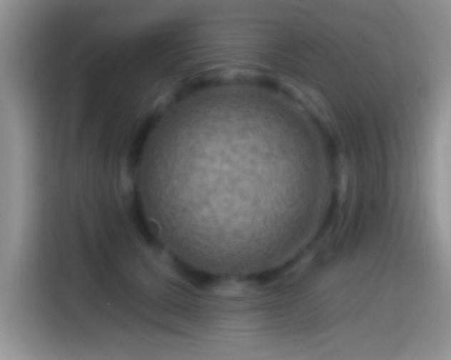 X0000116010607200911251122