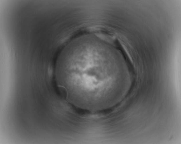X0000116010608200911251122