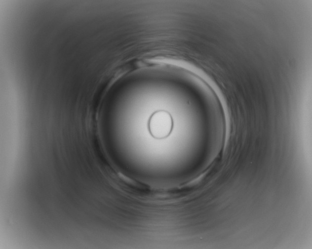X0000116010611200911251122