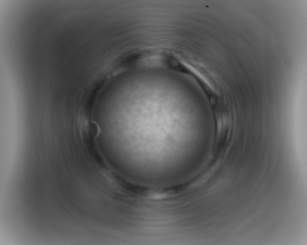 X0000116010613200911251122