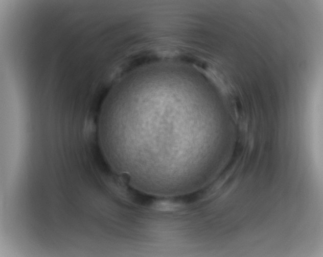 X0000116010614200911251122