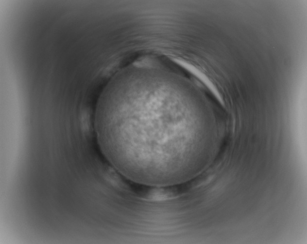 X0000116010616200911251122