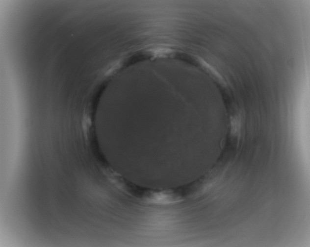 X0000116010618200911251122