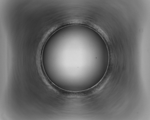 X0000116010625200911251121