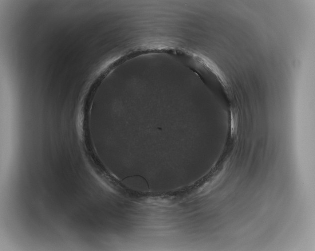 X0000116010627200911251121